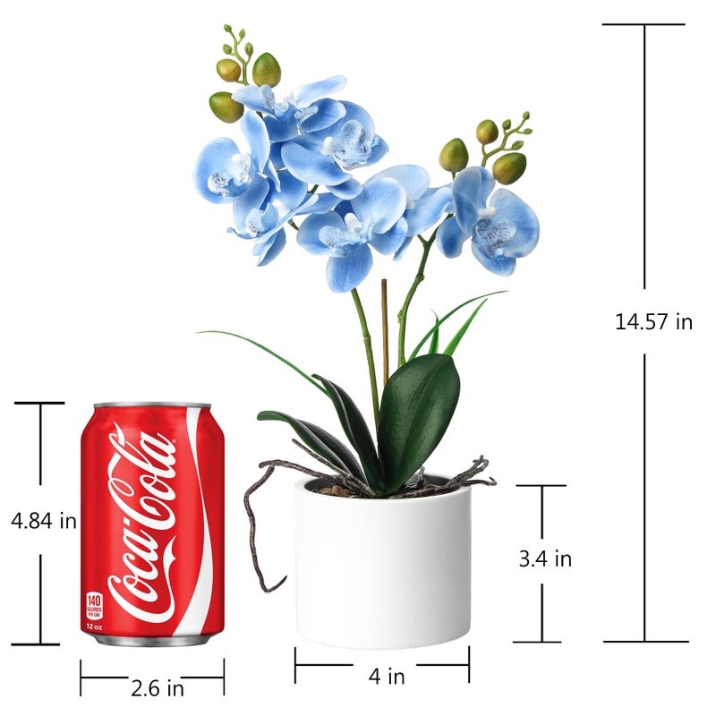 Jusdreen Artificial Blue Orchid in Ceramic Pot, Realistic Phalaenopsis Arrangement with Potting for Home Office Table Decor, 14.5 Inch Flower Centerpiece - Image 2